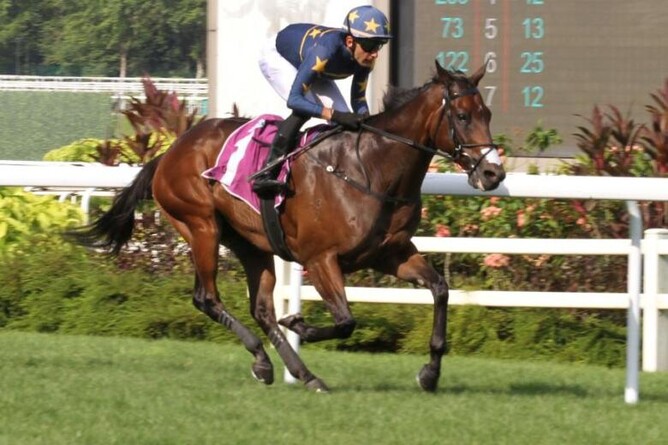 Lim's Kosciuszko win in the Group 1 Lion City Cup on July 28  - Photo:  SHAHRIYA YAHAYA / tnp.straitstimes.com