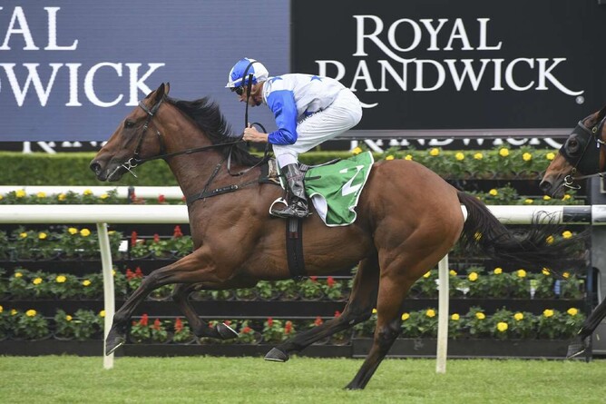 The Bostonian will head to Sydney next month. Photo: Bradleyphotos.com.au