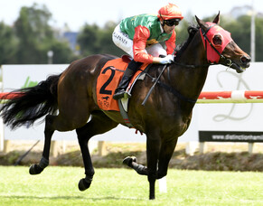 Indecision takes out Te Rapa feature