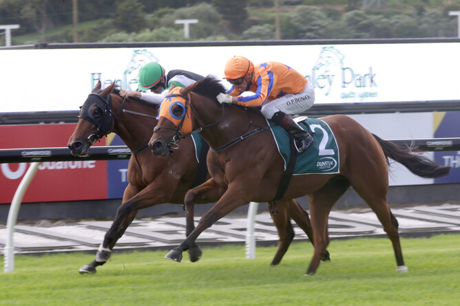 Pris De Fer (outside) will contest the Gr.1 Cambridge Stud Zabeel Classic (2000m) at Ellerslie on Boxing Day. - Photo: Trish Dunell