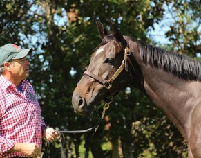 No end of Affair in sight