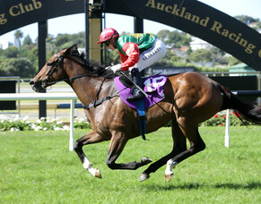 Mare puts in special performance at Ellerslie