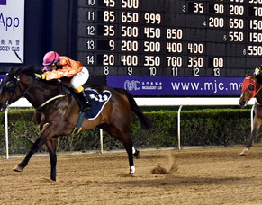 Sport Genius scores again