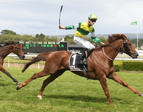 Black type successes for Egan