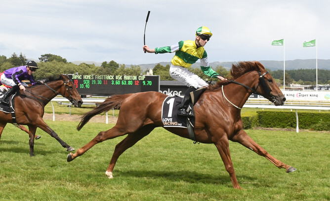 Beauden (Bullbars - Belle Femme) takes the Listed Marton Cup for his owner breeder Joan Egan - photo Race Images