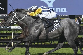 Nobu continues path to Queensland Derby