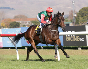 Trelawney holds strong hand at Te Rapa