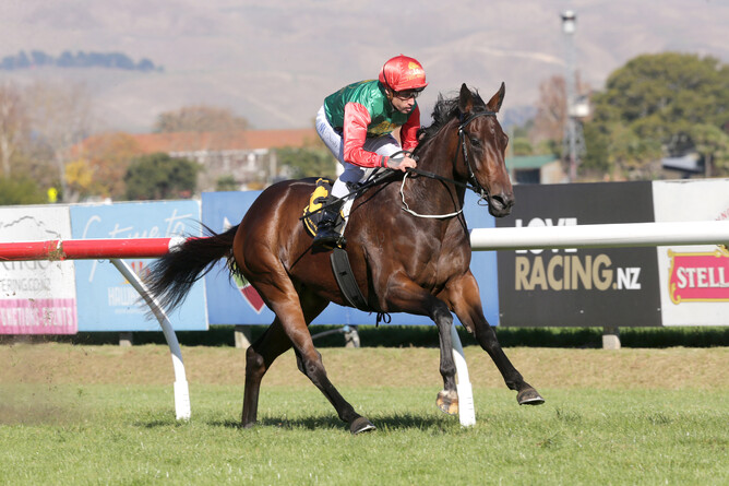 Group One winner Loire heads to Te Rapa on Saturday. - Photo: Trish Dunell