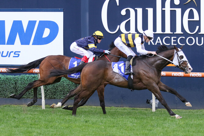 I’m Thunderstruck beats Tofane to head home a Kiwi-bred quinella in the Gr.1 Toorak Handicap (1600m) at Caulfield - Photo Credit: Bruno Cannatelli