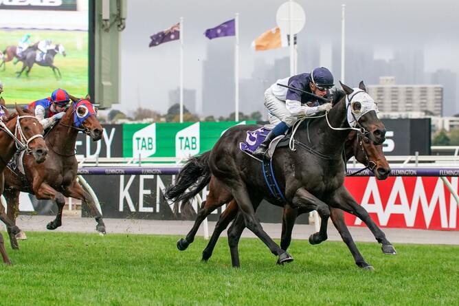 Savaheat winning at Flemington on Saturday. Photo: Natasha Morello/Racing Photos