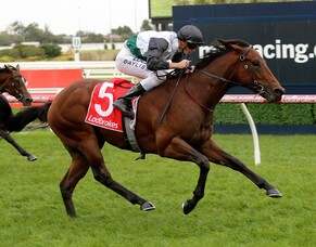 Ocean set to continue winning wave