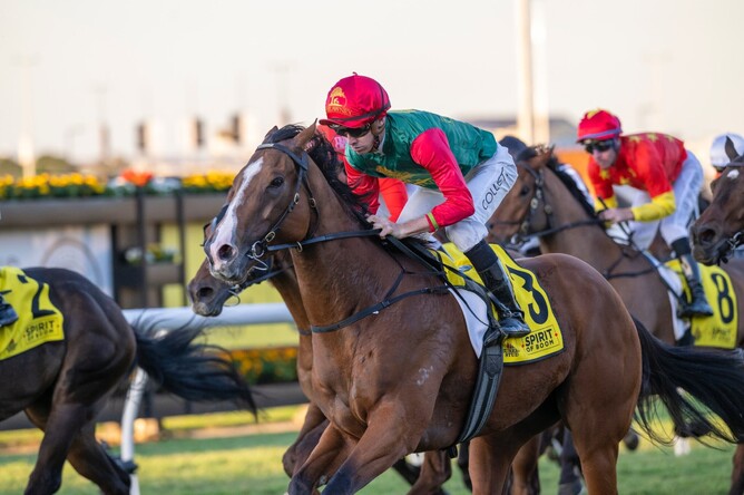 Group Three winner Juan Diva - Photo: Inglis