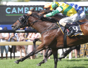 James looking for big run from Concert Hall