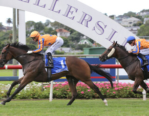 Talented youngster too strong in Sistema