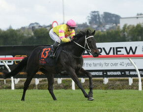 Paykel celebrates surprise win