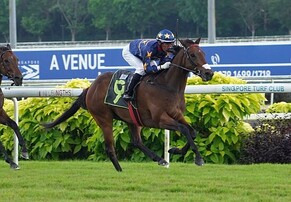 Six from six for Lim's Kosciuszko