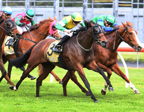 Concert Hall all class at Trentham
