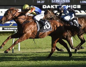 Speith to beat hoodoos in Stradbroke