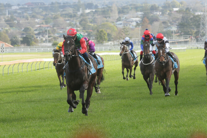 Vamos Bebe winning at Avondale on Wednesday. Photo: Trish Dunell