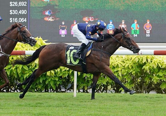 Lim's Kosciuszko winning in Singapore. - Photo: Singapore Turf Club