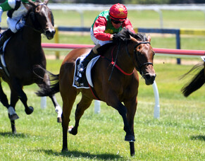 Homebred filly wins on debut