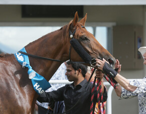 Stakes target for Beauden