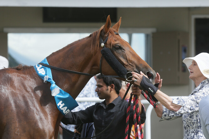 Beauden with owner Joan Egan. Photo: Trish Dunell