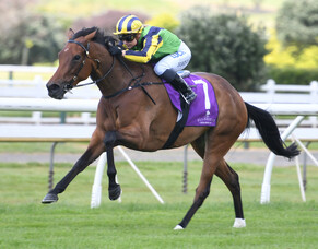 Postponement puts Francaletta on back foot
