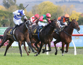 Igraine impressive at Hawke's Bay