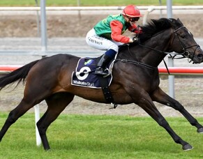 Vamos Bebe bolts in at Matamata