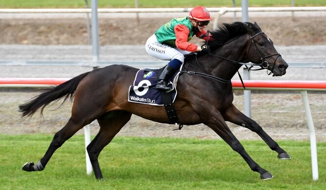 Vamos Bebe in full flight at Matamata on Saturday. - Photo: Race Images.