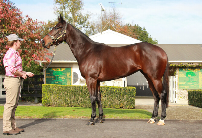 Well-bred 3YO filly Acquisition.