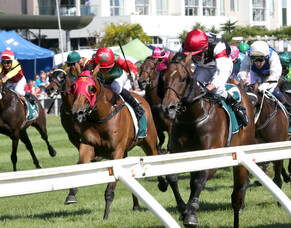 Vinevale ready for return