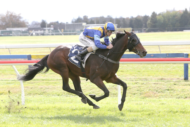 Nordic winning the opening race on the card at Rotorua - NZ Racing Desk