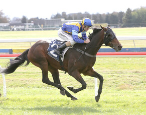 Rotorua double for Trelawney graduates