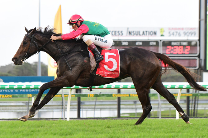 Robbie Fradd and Igraine on their way to winning the Caloundra Cup - Grant Peters