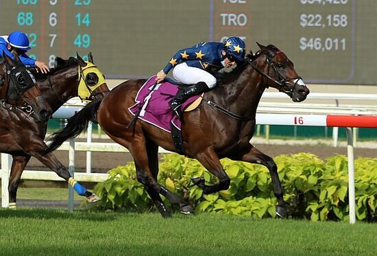 Lim’s Kosciuszko winning the S$400,000 Singapore Derby (1800m). - Photo: STC