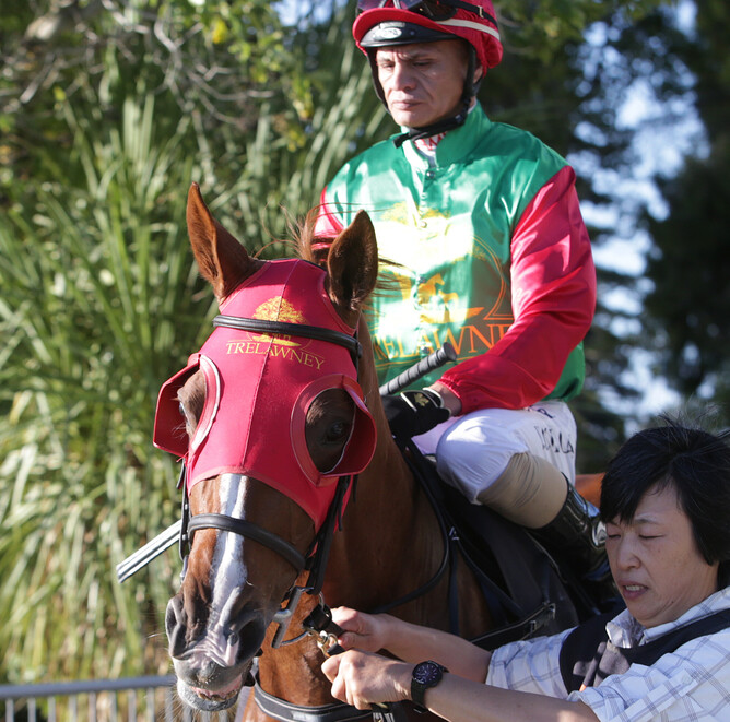 Two Illicit made a pleasing return to racing at Te Rapa on Saturday. - Photo: Trish Dunell