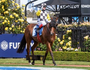 Purple Sector hoping to get The Gong