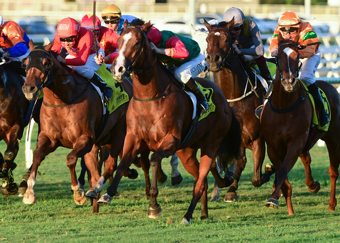 Juan Diva storms to victory at Eagle Farm - Photo credit: Trackside Photography – Grant Peters