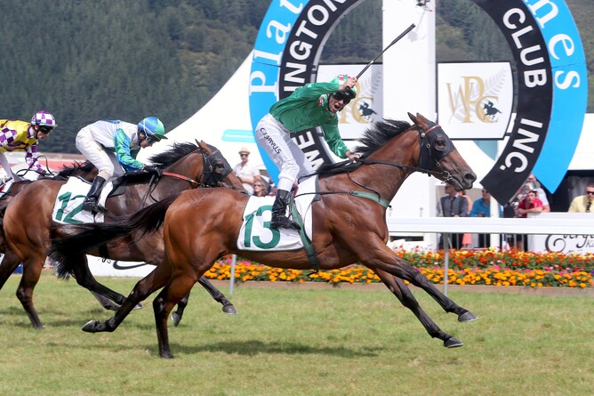 A Touch of Ruby winning the Gr.1 Thorndon Mile - Trish Dunell