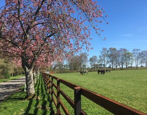 Blog Post- Hannah Airey