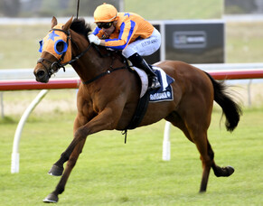 Group Two goal for Te Teko winner