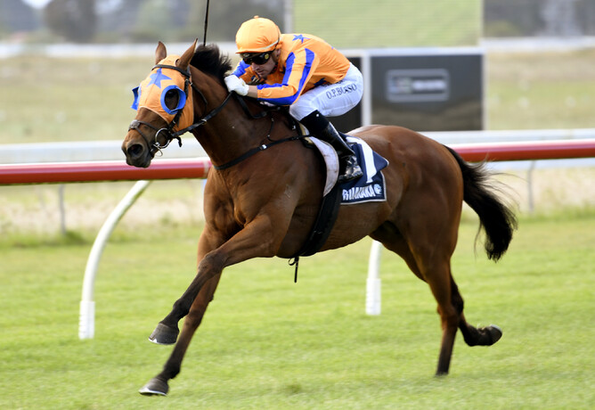 Prise de Fer winning at Ruakaka last year - Trish Dunell