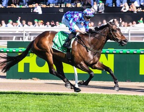 Jenni is the Pride of Flemington once again!