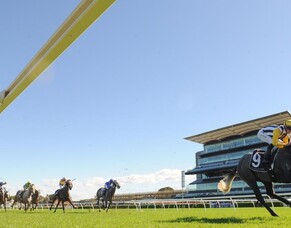 Nobu ignites G1 Queensland Derby bid