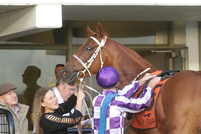 Cliff Goss (left) with smart galloper Gold Watch after a win at Te Rapa Photo Credit: Trish Dunell