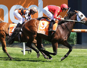 Savabeel colt impresses in Sandown Guineas triumph