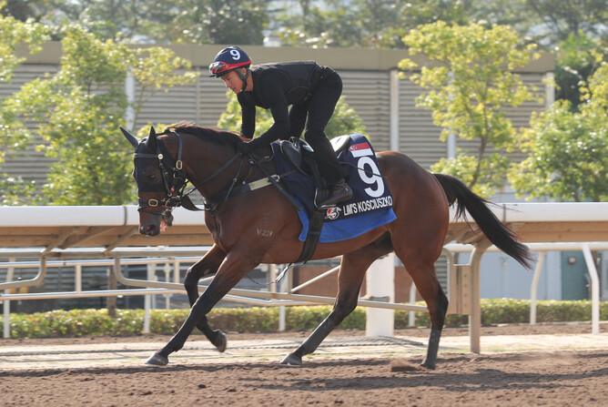 Lim’s Kosciuszko exercises at Sha Tin all-weather track. - Photo: HKJC
