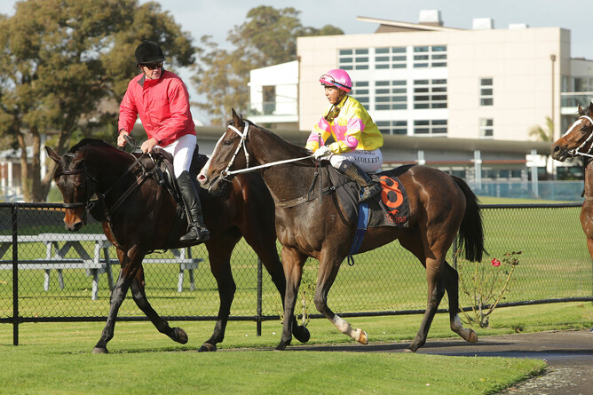 Medalza returns a winner at Te Rapa - Trish Dunell